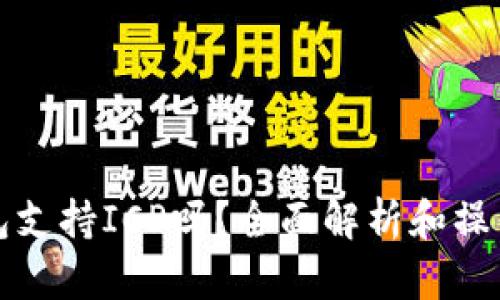 TP钱包支持ICP吗？全面解析和操作指南