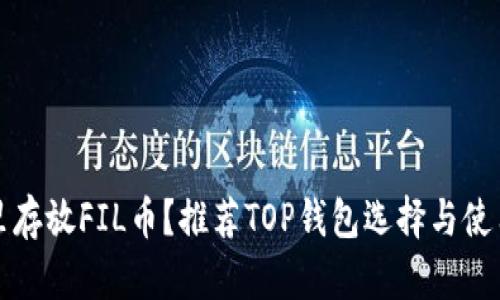 在哪里存放FIL币？推荐TOP钱包选择与使用指南