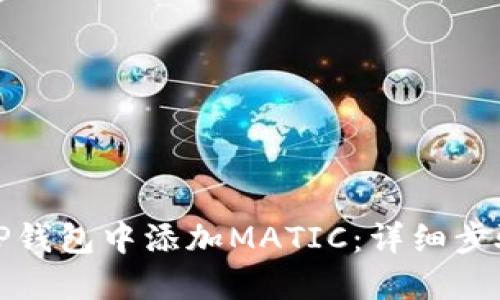 如何在TP钱包中添加MATIC：详细步骤与技巧