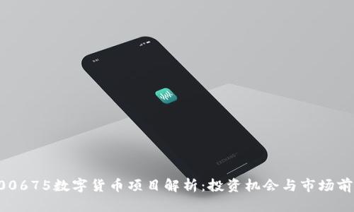 300675数字货币项目解析：投资机会与市场前景