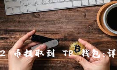 如何将 DOGV2 币提取到 TP 钱包：详细指南与步骤