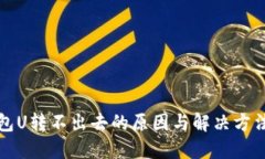 TP钱包U转不出去的原因与解决方法详解