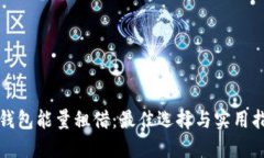 TP钱包能量租借：最佳选择与实用指南