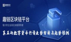 真正的数字货币行情走势分析与趋势预