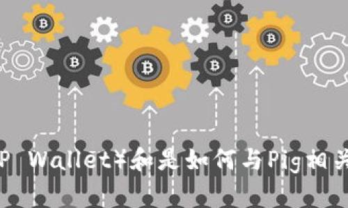 了解TP钱包（TP Wallet）和是如何与Pig相关的全方位指南