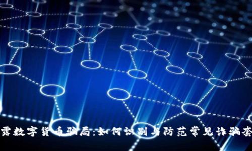 揭露数字货币骗局：如何识别与防范常见诈骗套路