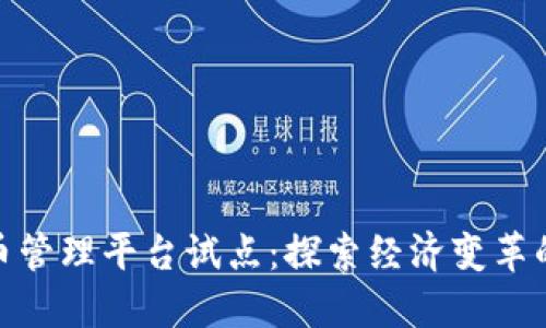 数字货币管理平台试点：探索经济变革的新机遇