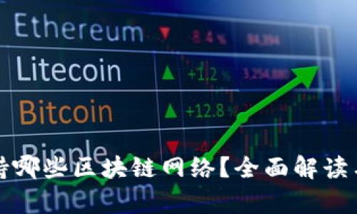 TP钱包支持哪些区块链网络？全面解读与优势分析